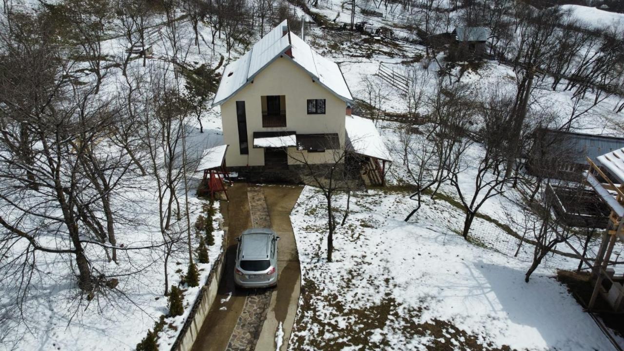 Casa Flutar Villa Moisei Luaran gambar