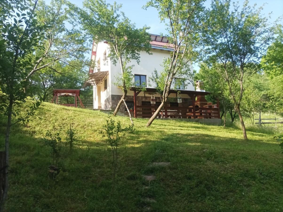 Casa Flutar Villa Moisei Luaran gambar