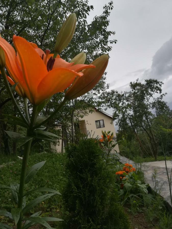 Casa Flutar Villa Moisei Luaran gambar