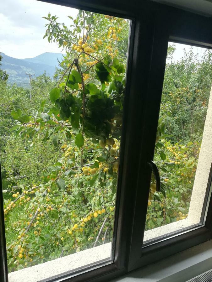 Casa Flutar Villa Moisei Luaran gambar